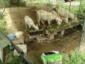 IMG_20260727_091132