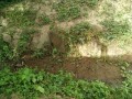IMG_20260727_091140