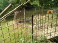 IMG_20260727_091147