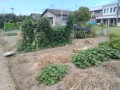 IMG_20260727_100741