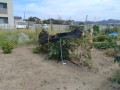 IMG_20260727_100806