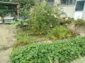 IMG_20260727_100819