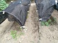 IMG_20260727_100835