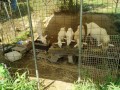 IMG_20260728_090700
