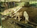 IMG_20260728_090709
