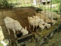 IMG_20260728_090718