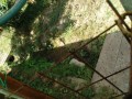 IMG_20260728_090722