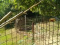 IMG_20260728_090736