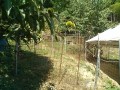 IMG_20260728_090745