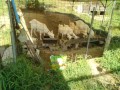 IMG_20260728_090914