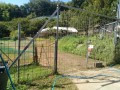 IMG_20260728_093101