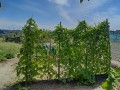 IMG_20260728_101907