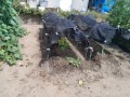 IMG_20260728_101913