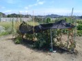 IMG_20260728_101939