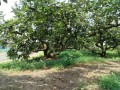 IMG_20260728_102123