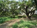IMG_20260728_102126