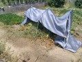 IMG_20260728_111509