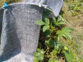 IMG_20260728_111514