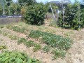 IMG_20260728_111523