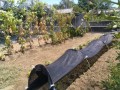 IMG_20260728_111528