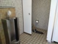 IMG_20260728_115620