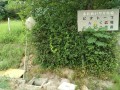 IMG_20260729_093152