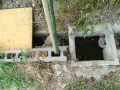 IMG_20260729_093158