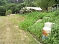IMG_20260729_093226