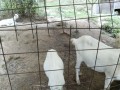 IMG_20260729_093624