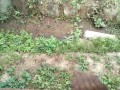 IMG_20260729_093705