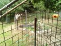 IMG_20260729_093724