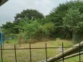 IMG_20260729_093729