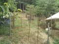 IMG_20260729_093739