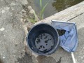 IMG_20260729_105031