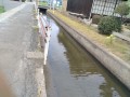 IMG_20260729_105033