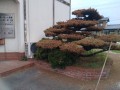 IMG_20260729_111243