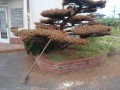 IMG_20260729_111250