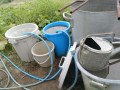 IMG_20260729_120829