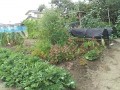 IMG_20260729_120832