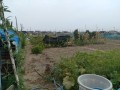 IMG_20260729_120835