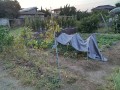 IMG_20260729_185837