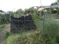 IMG_20260729_185839