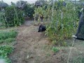 IMG_20260729_185846