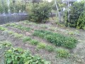 IMG_20260729_185850