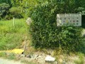 IMG_20260730_100658