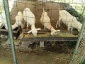 IMG_20260730_101309
