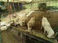 IMG_20260730_101316
