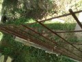 IMG_20260730_101333
