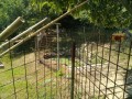 IMG_20260730_101349