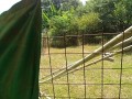 IMG_20260730_101355